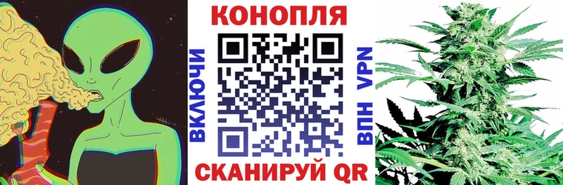 Купить  Оренбург  Каннабис Bruce Banner 